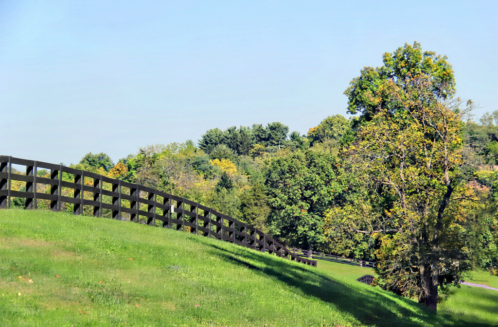 Fenceline  by digitalrn