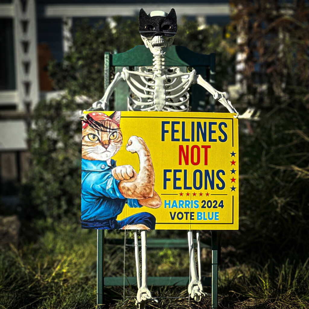 Felines not Felons by berelaxed