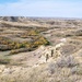 Big Muddy Badlands