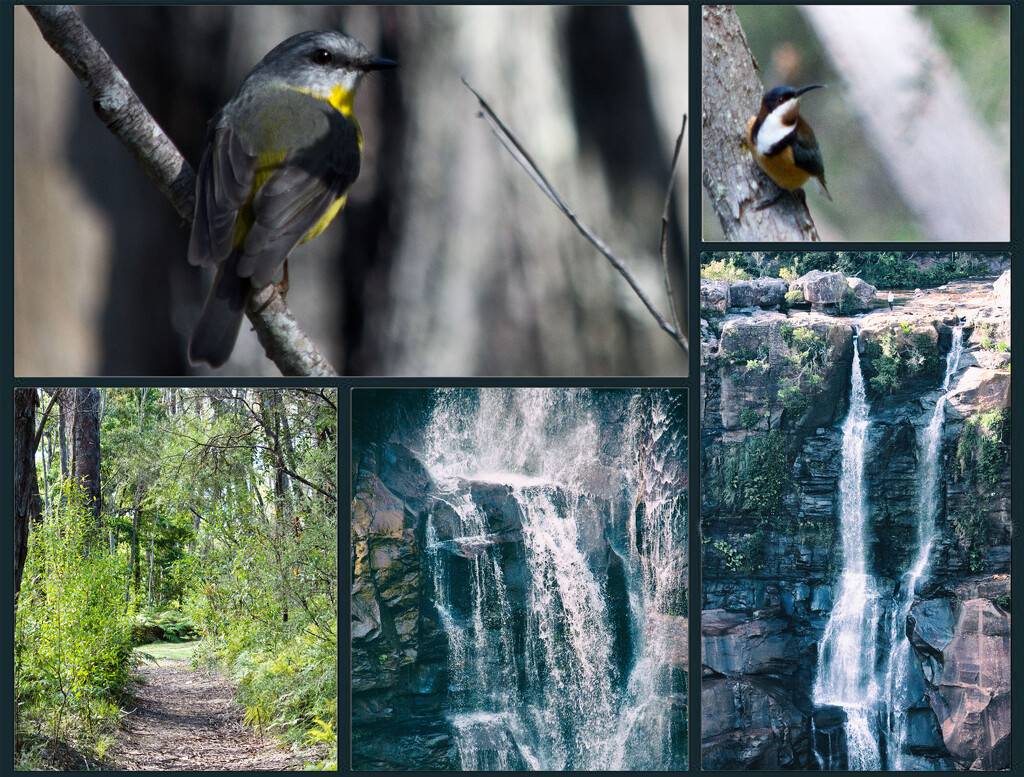 Destination 11 Carrington Falls by annied