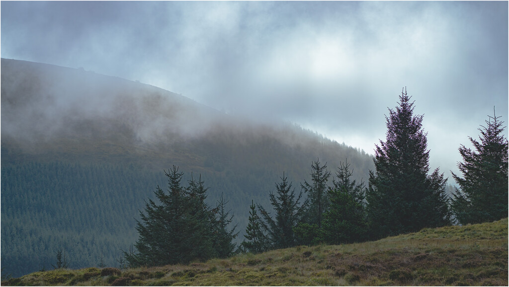 Sun rise on the Mach Loop on a misty morning. by clifford