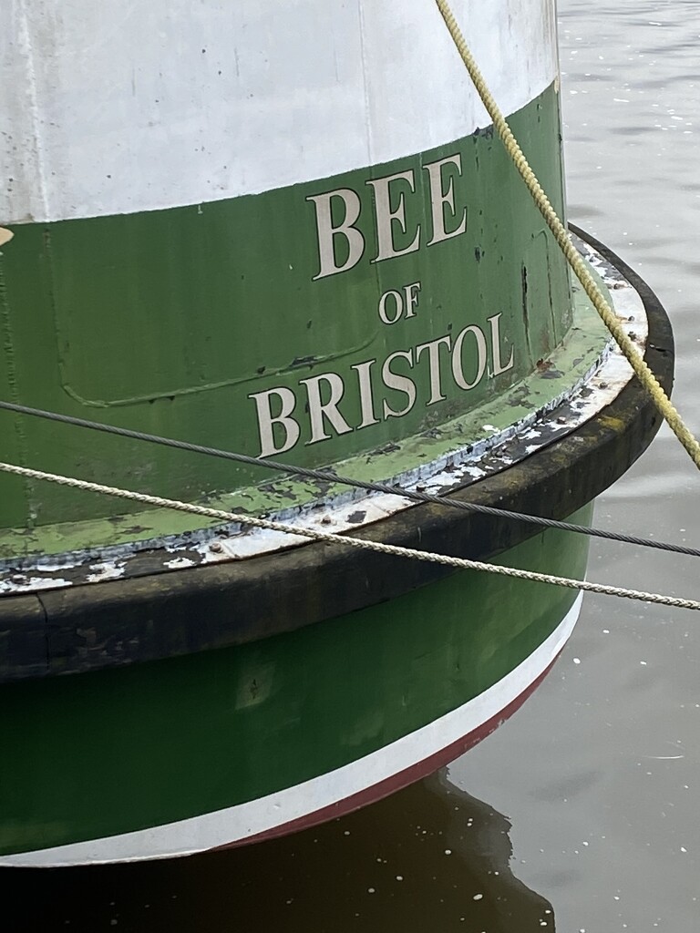 Bee of Bristol by cam365pix