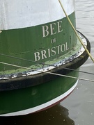 5th Oct 2024 - Bee of Bristol