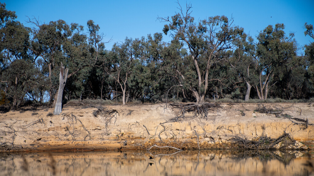 Murray River by nannasgotitgoingon