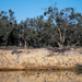 Murray River