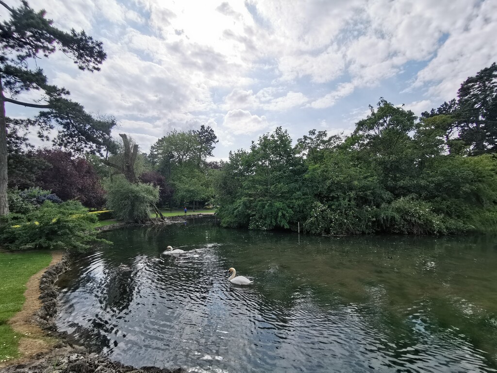 People's Park Pond  by plainjaneandnononsense