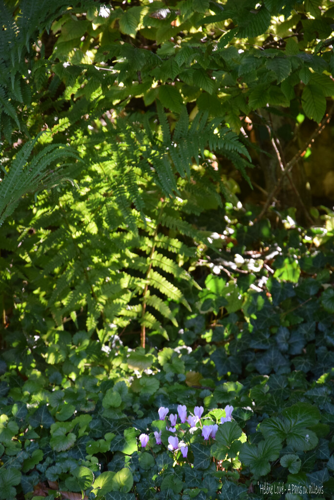 October in the garden by parisouailleurs