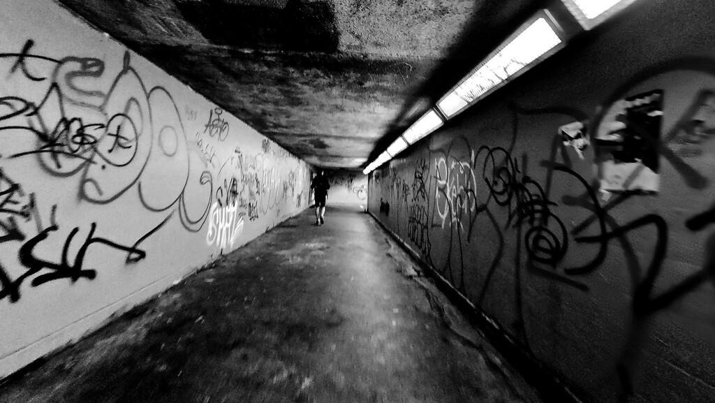 281/366 - Underpass  by isaacsnek