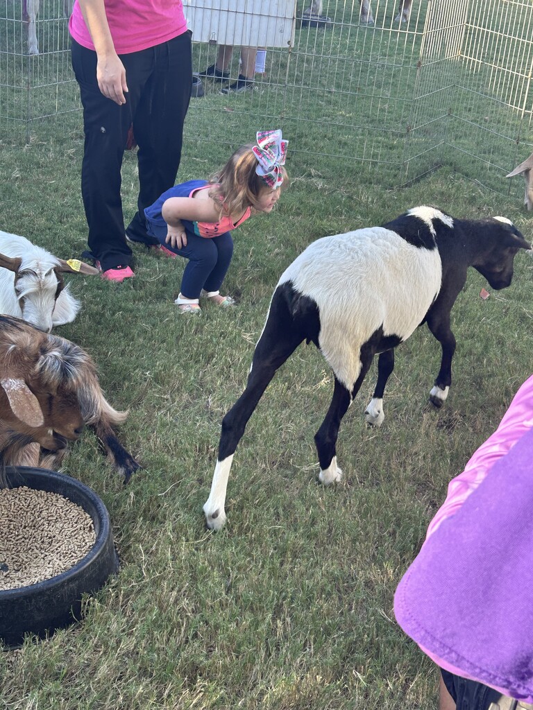 At the petting zoo. by bellasmom