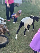 5th Oct 2024 - At the petting zoo.