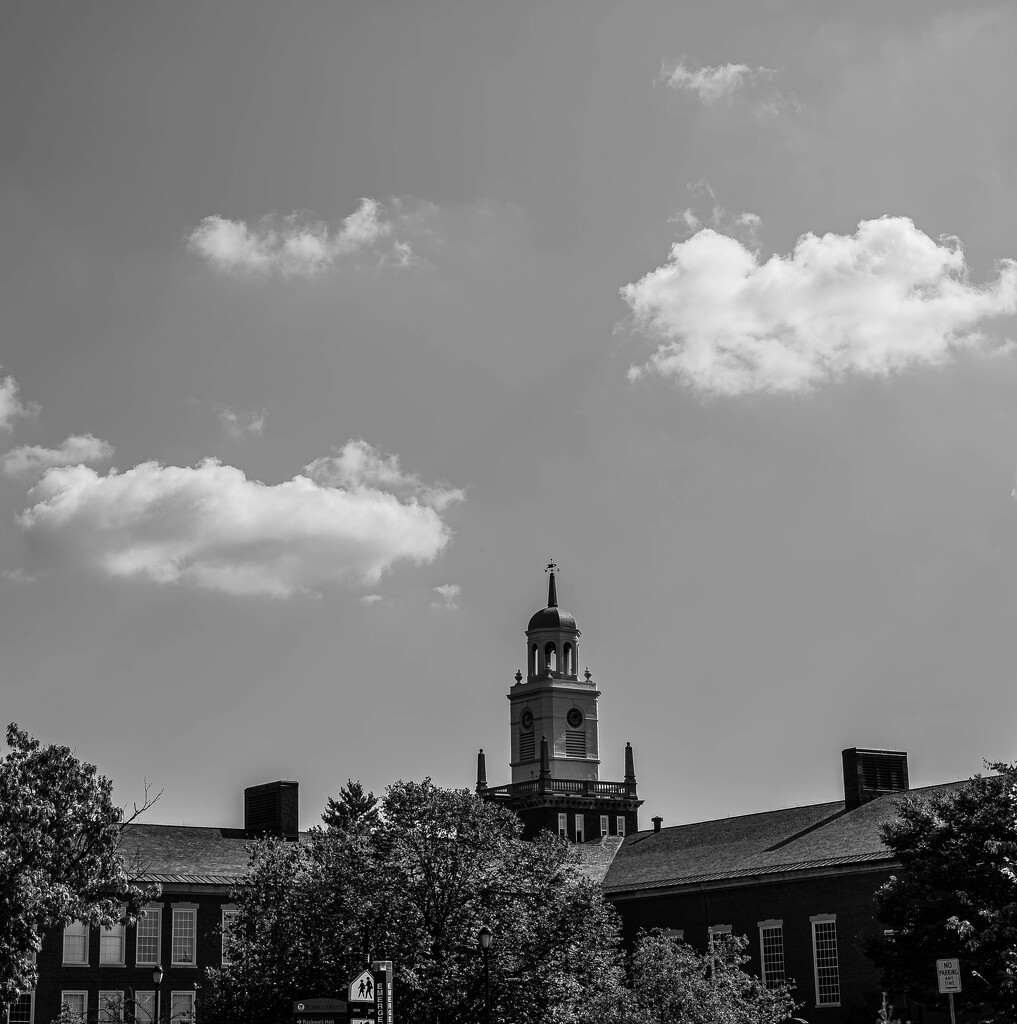 Bell tower by darchibald