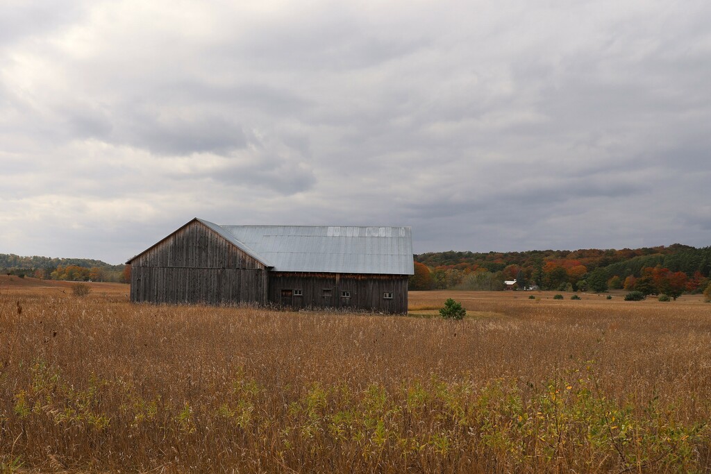 Autumn barn by edorreandresen