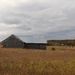 Autumn barn