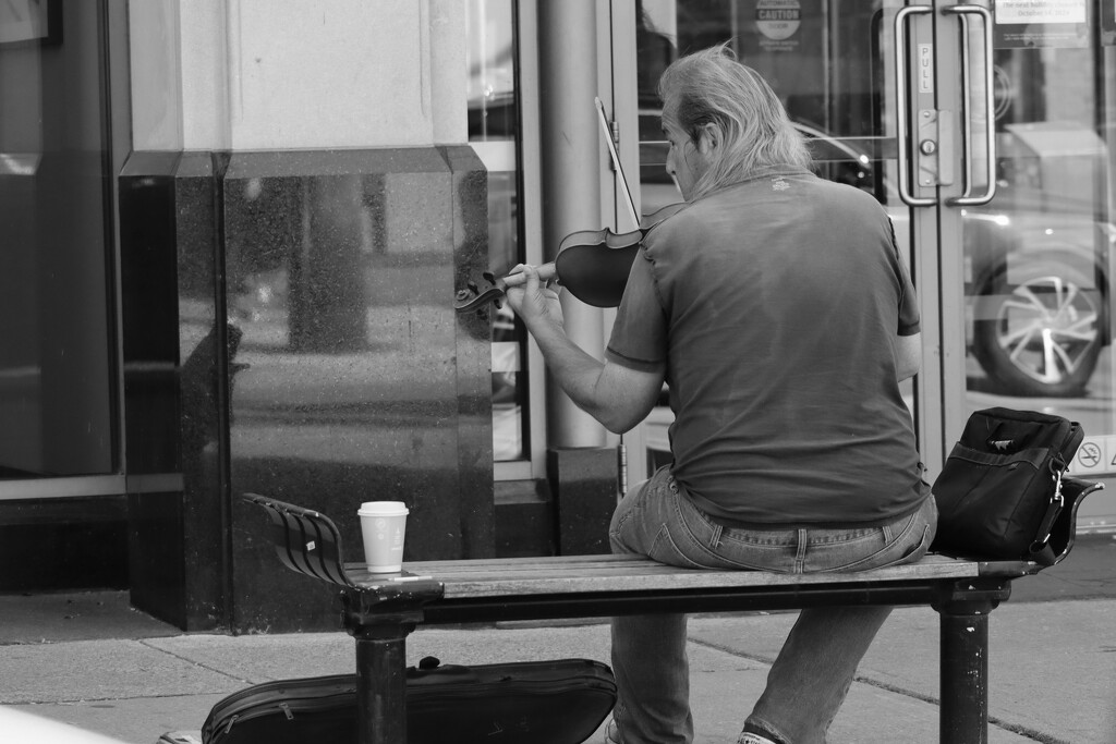 Portrait of a Violinist in Black and White by princessicajessica