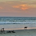 A Fall day at the beach winds down at sunset.