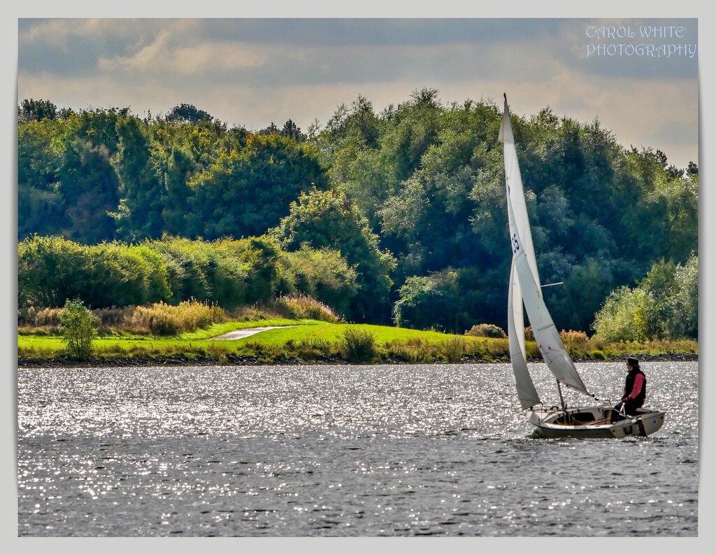 Sailing On Pitsford Reservoir by carolmw