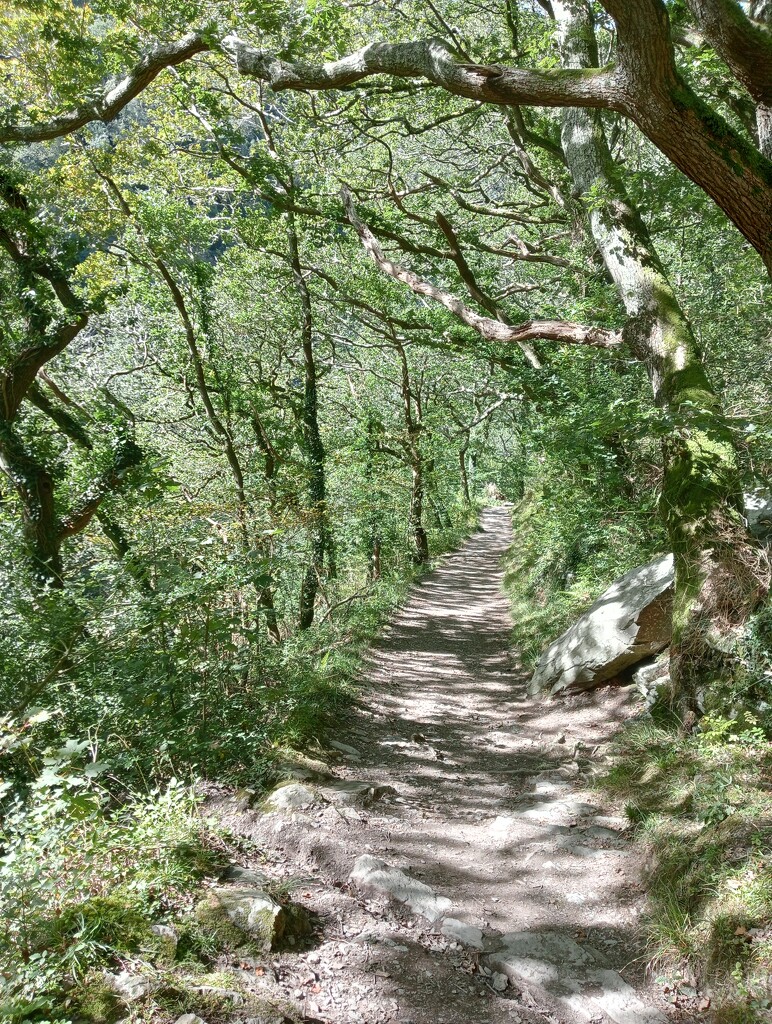 watersmeet path by justdots