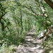 watersmeet path