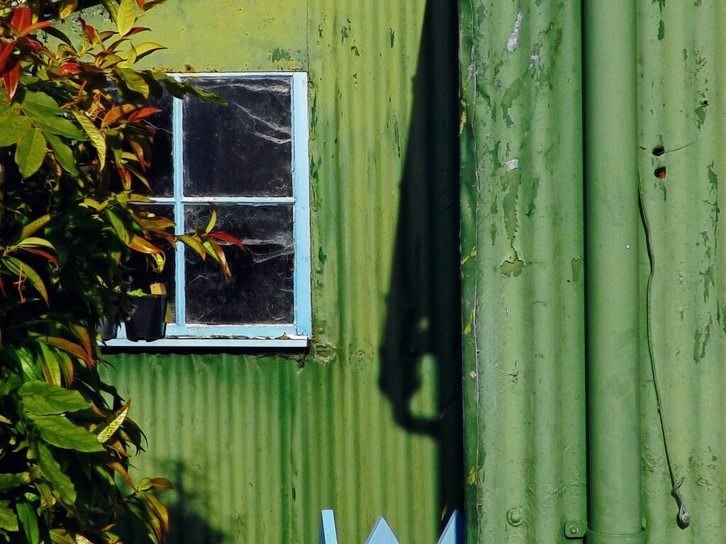 Green Tin Shed by ajisaac