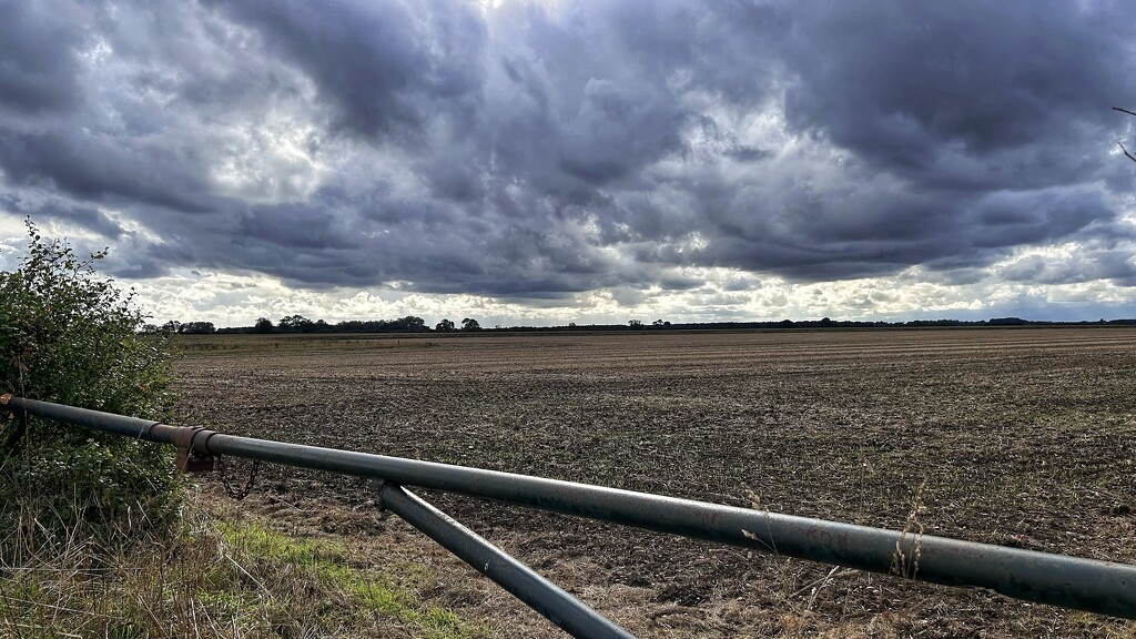 Rain Clouds by carole_sandford