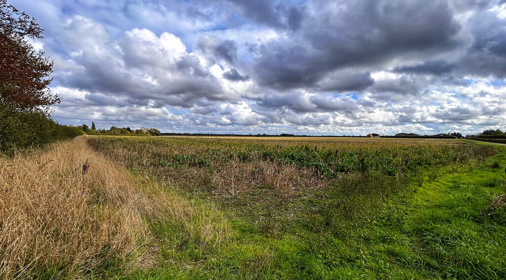 Lots of Clouds by carole_sandford