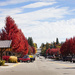 Rossland in all its glory