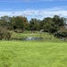 Beaver Valley GC #8