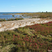 Hammonasset State Park