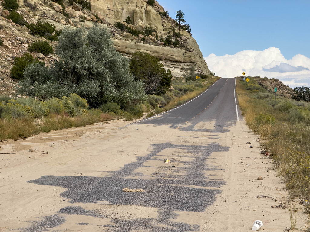 Rain washed in the sand by jeffjones