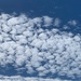 1008altocumulus