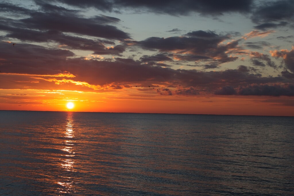 LHG_4659 Sunset over Mobile Bay at Mullet point. by rontu