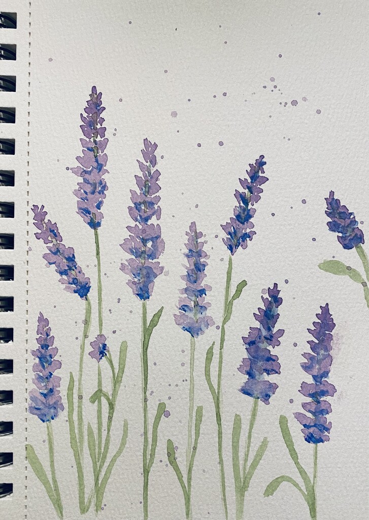 Lavender watercolor by mtb24