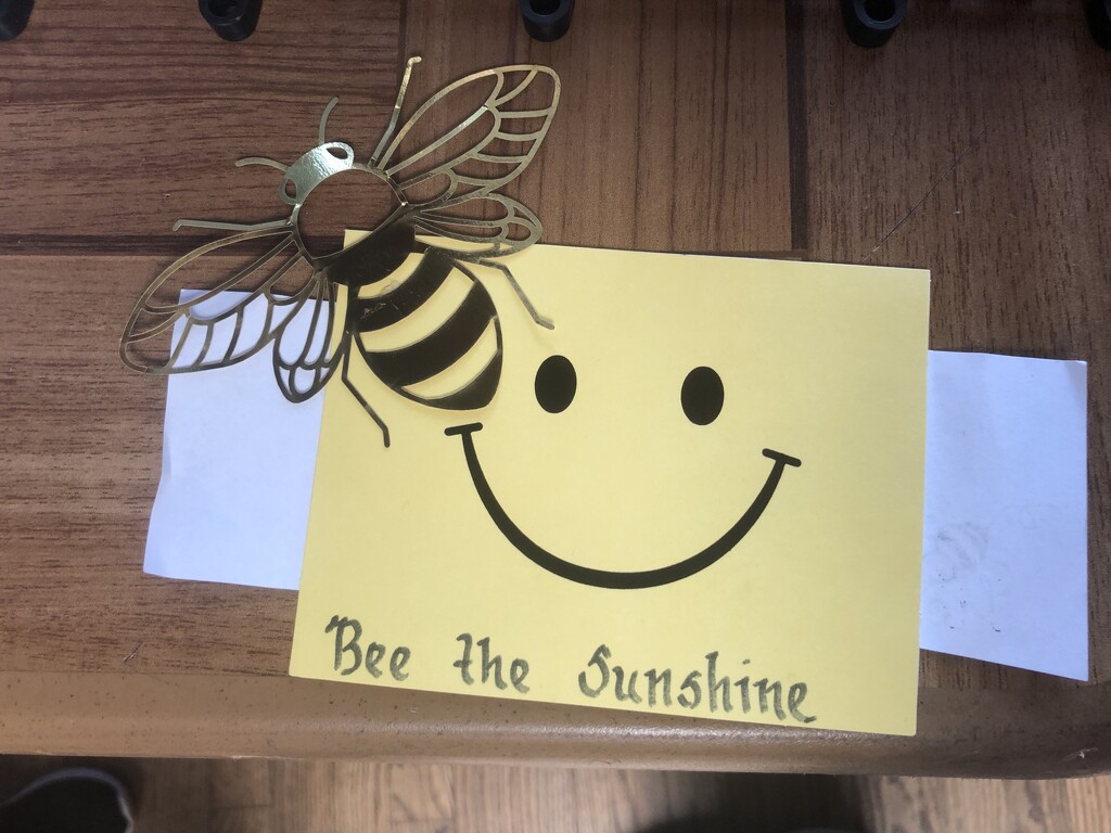 "Bee The Sunshine" by robfalbo