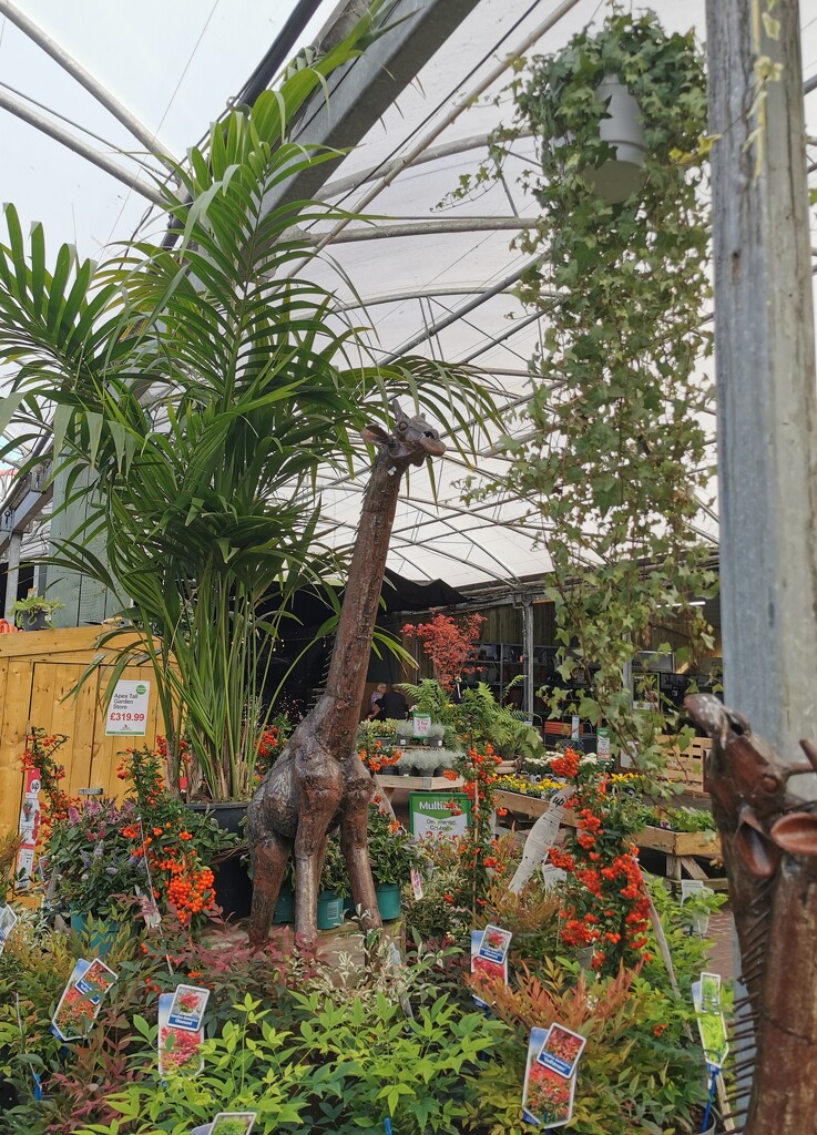 Garden Centre Or Jungle?  by plainjaneandnononsense