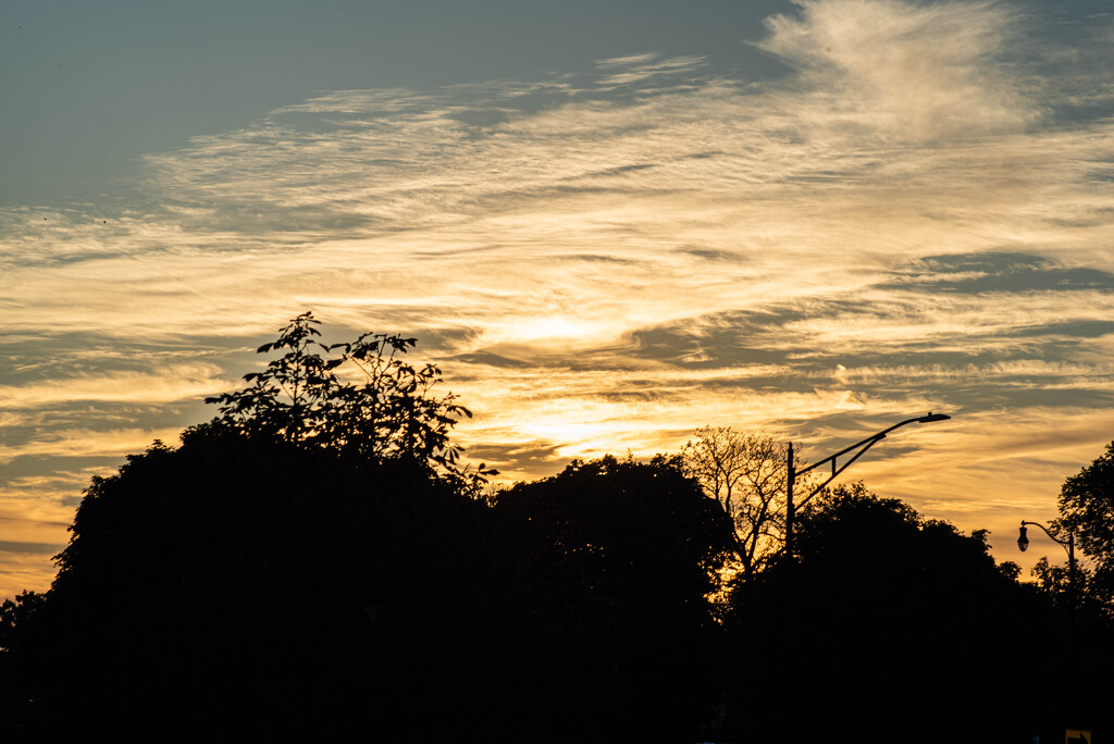 Sunrise Over Buffalo State University by darchibald