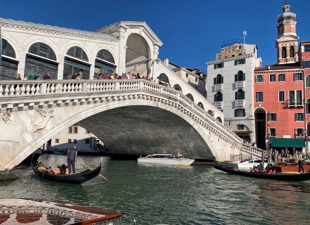 Rialto Bridge by happypat