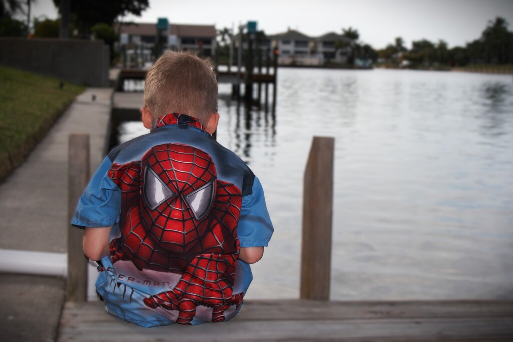 Spider-Man  by photohoot