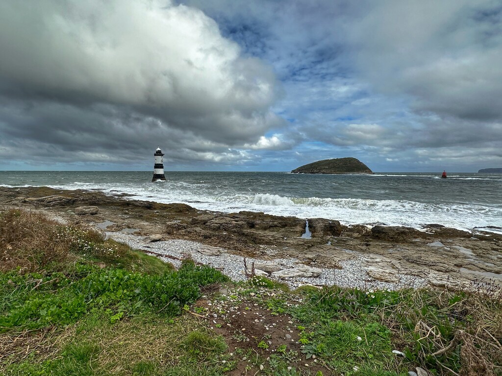 Puffin Island  by wendystout