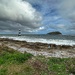 Puffin Island 