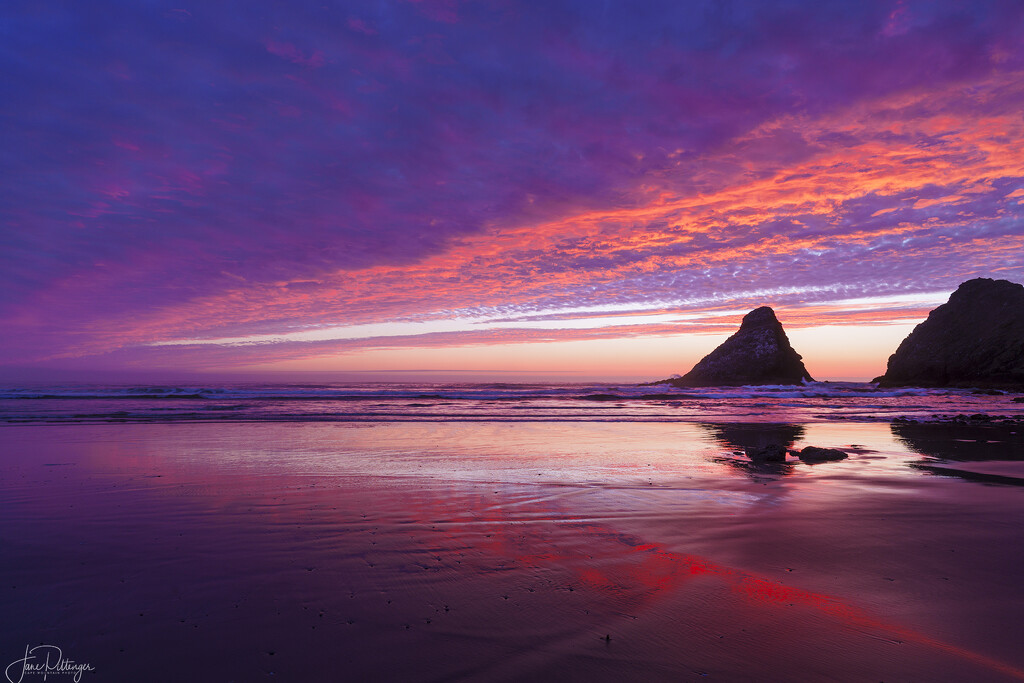 Sunset at Heceta Lighthouse Park  by jgpittenger