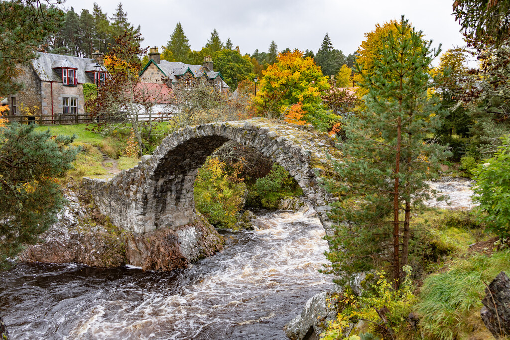 Carrbridge by lifeat60degrees