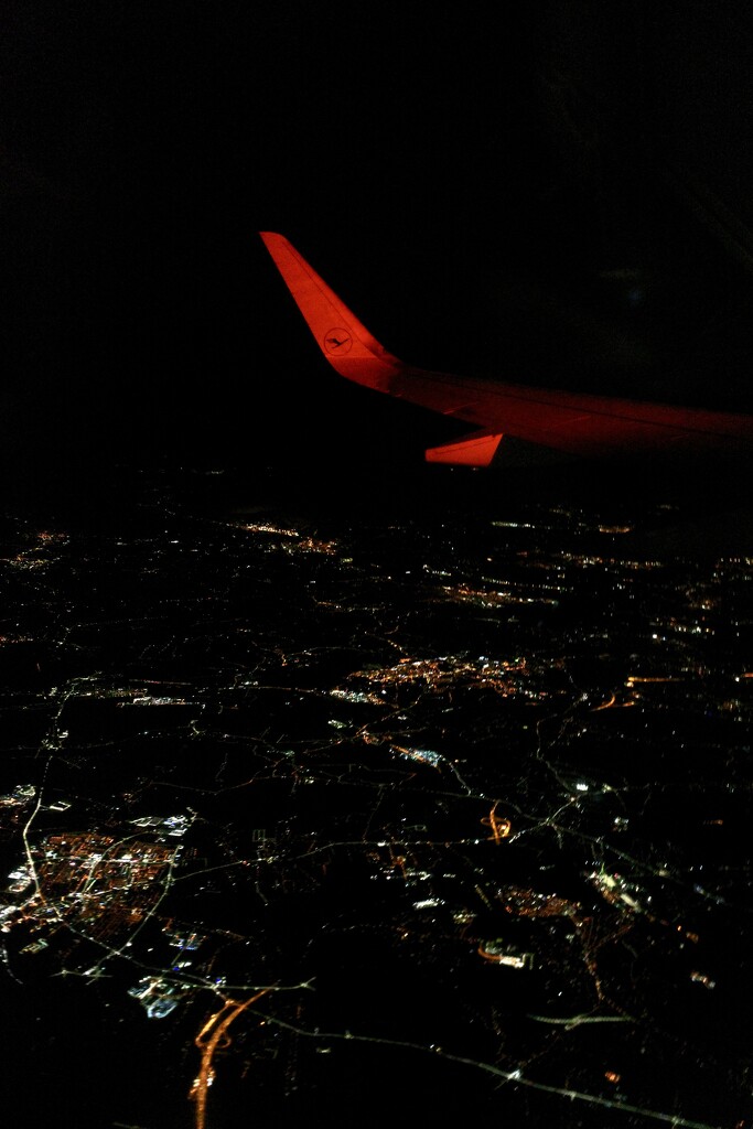 Red Wing Over Poland by vincent24