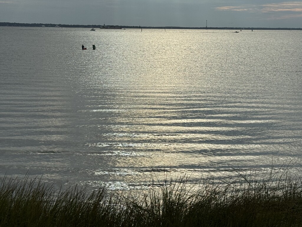 Some people will go to strange lengths to fish by congaree