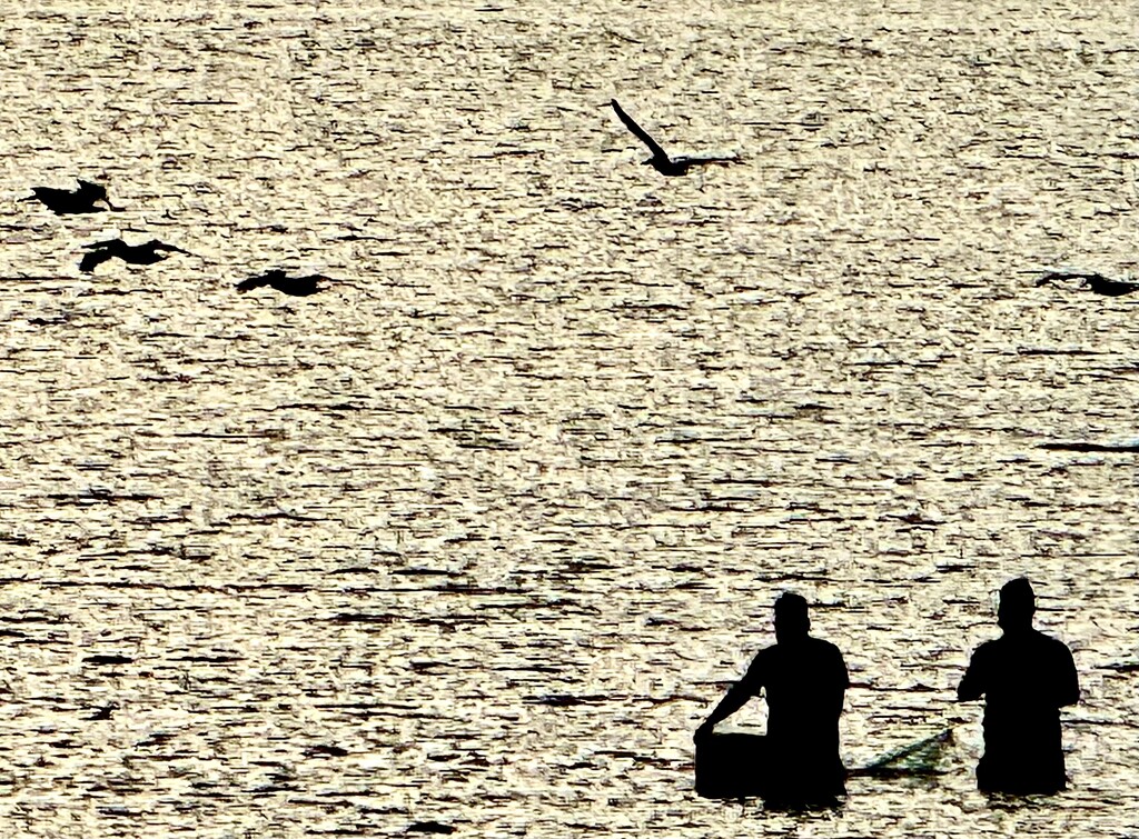 Fishing by congaree