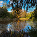 Autumn Reflections 