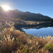 The sun drops behind the mountains, shedding beautiful light on the grasses at Lake Lily - RMNP