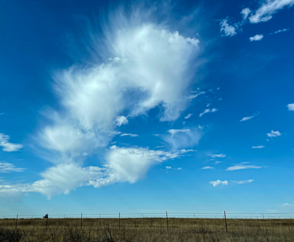 Wispy Clouds by gardenfolk