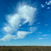 Wispy Clouds by gardenfolk