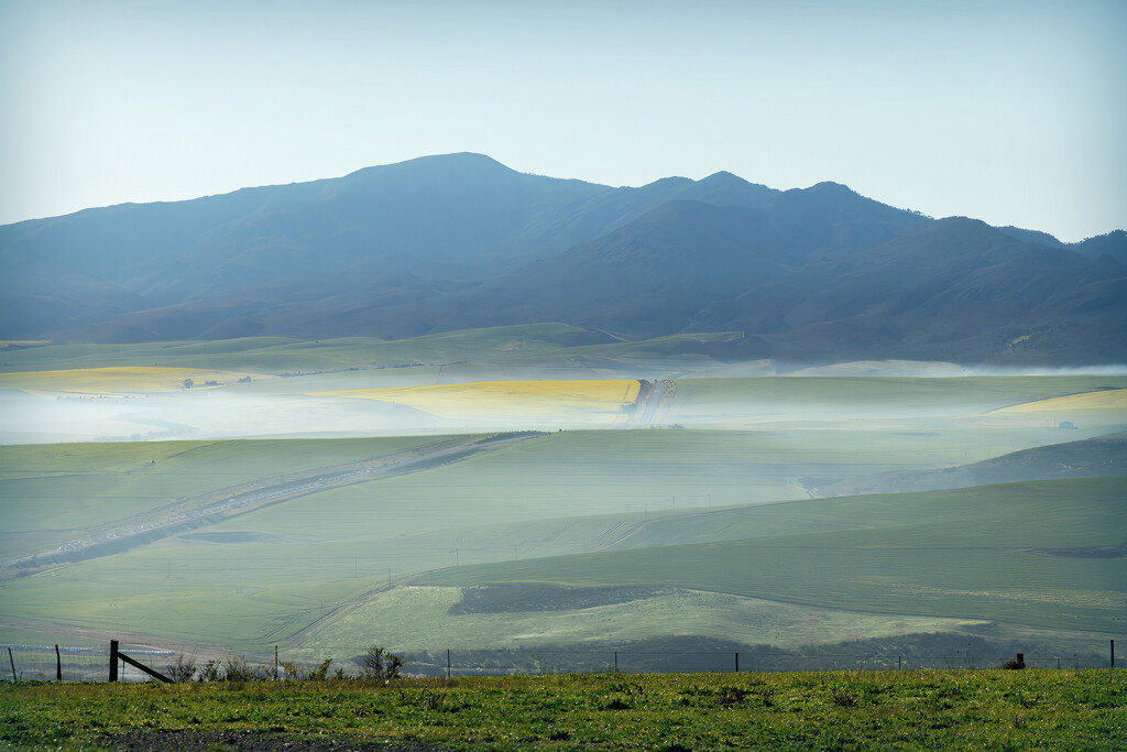 Foggy fields by ludwigsdiana