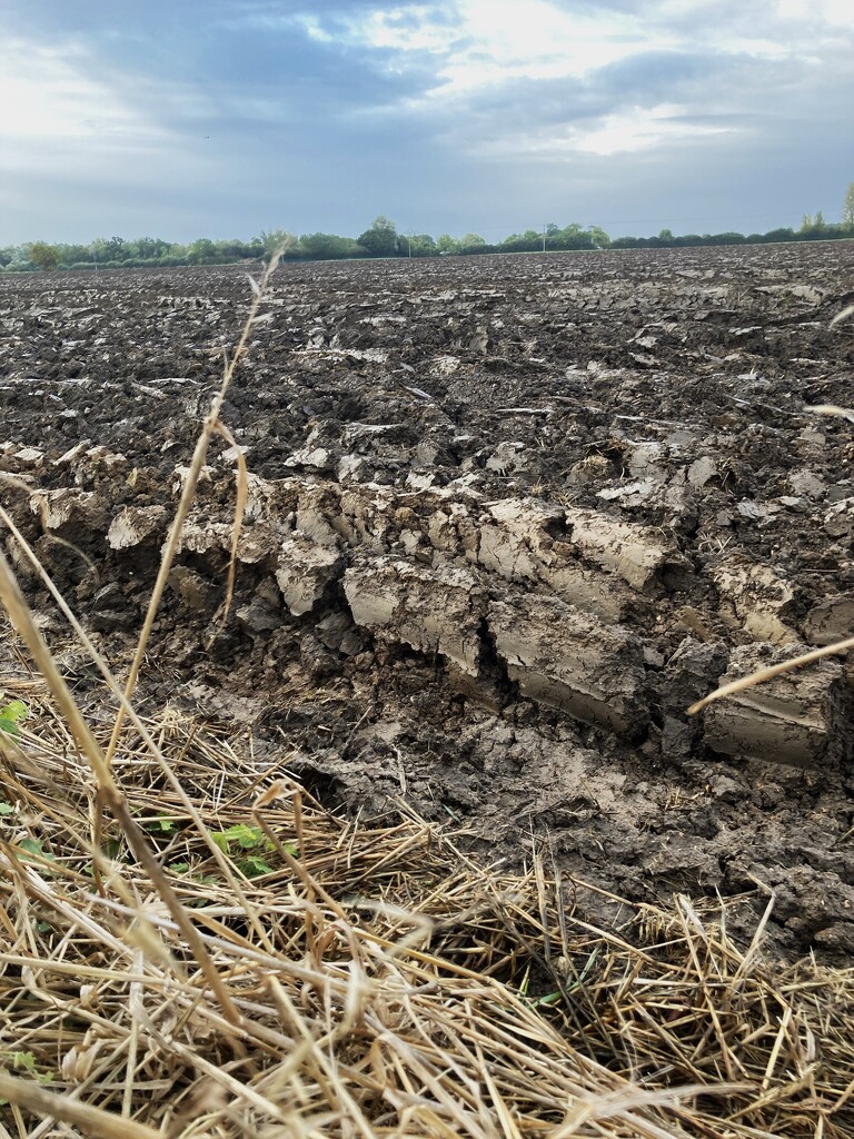 Ploughed field by 365anne